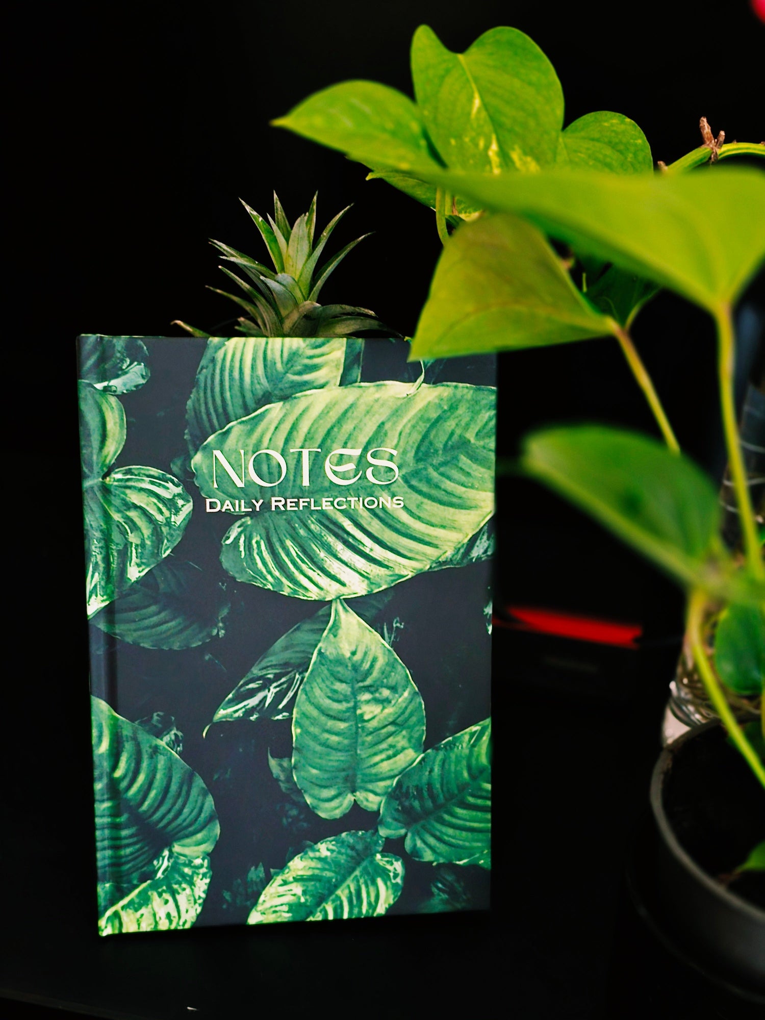 Why I Made an Emergency Password Journal (TrueStory)