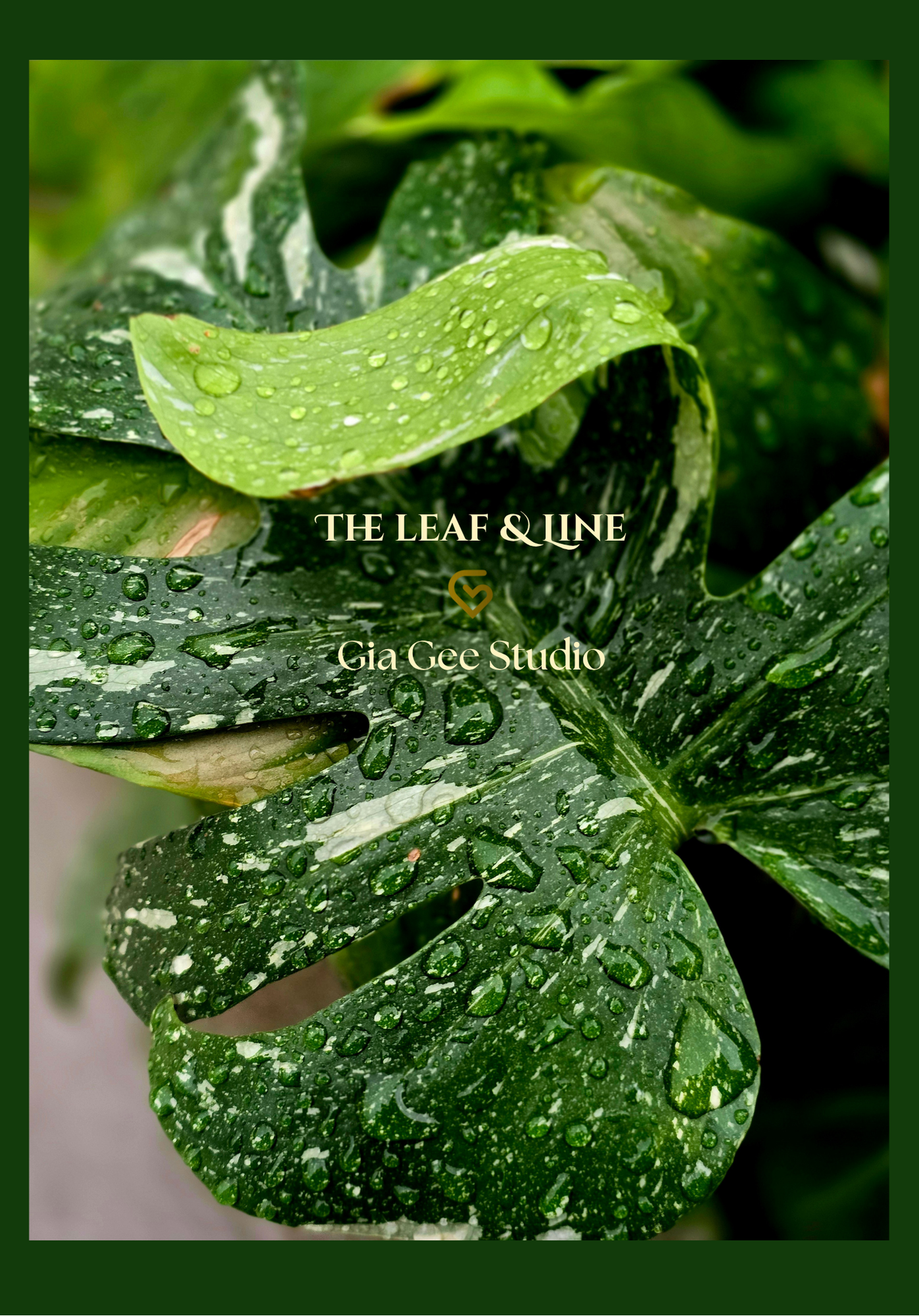 Epic close shot of Back Cover of Journal The Leaf & Life - Gia Gee Studio