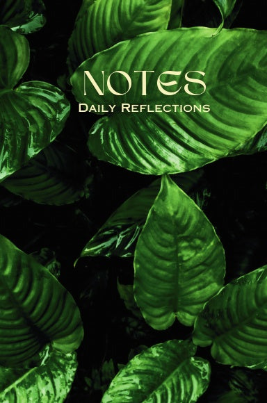 Book Cover Variant Thumbnail