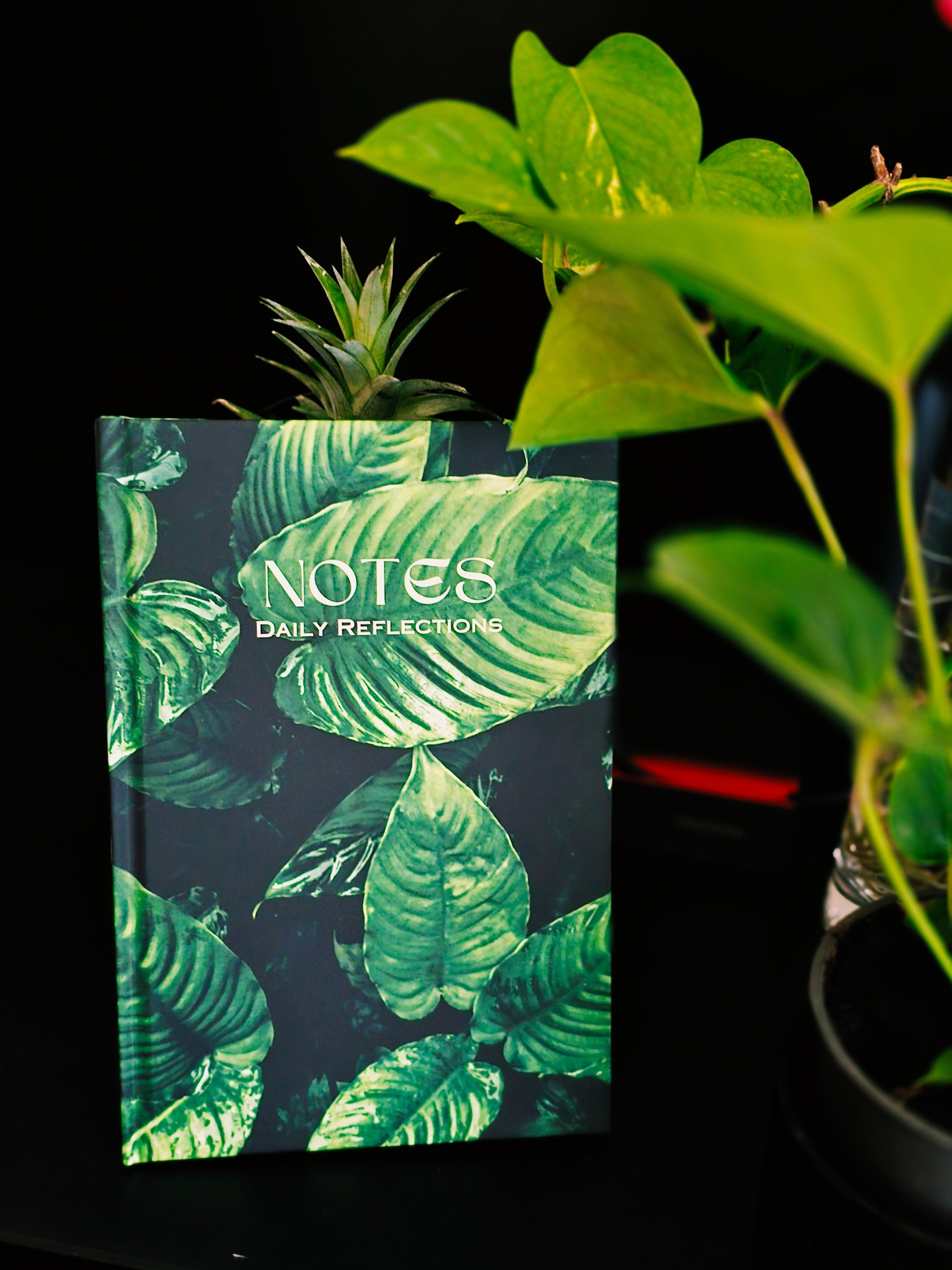 Why I Made an Emergency Password Journal (TrueStory)